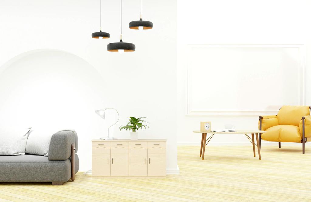 Professional Sofa Cleaning Service